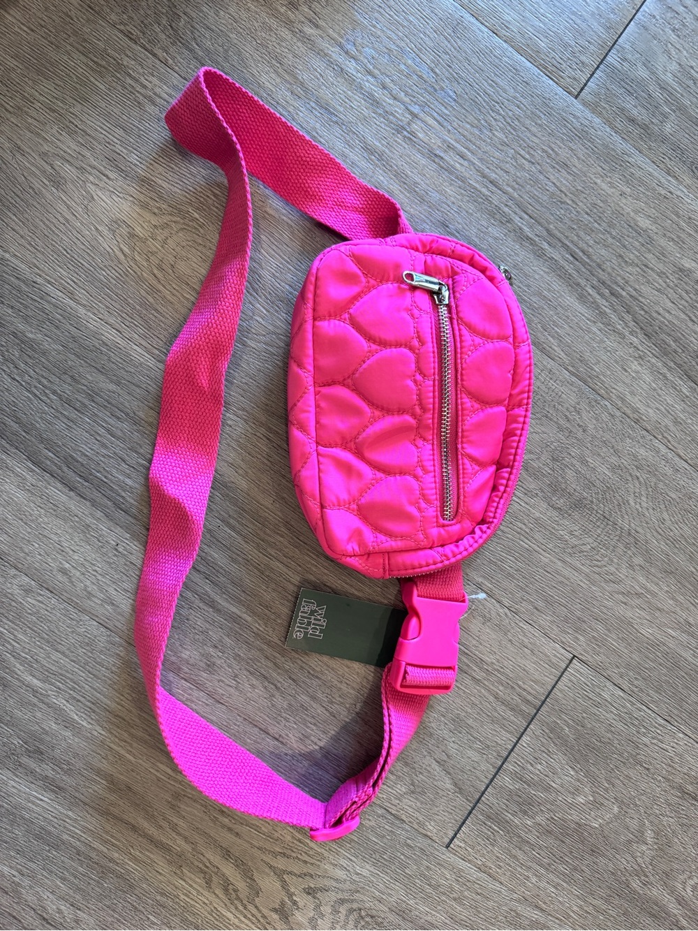NWT Wild Fable Embroidered Heart Fanny Pack